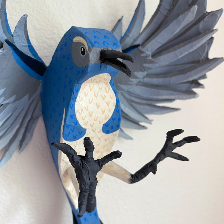Paper Mache Fighting Scrub Jay, Detail
