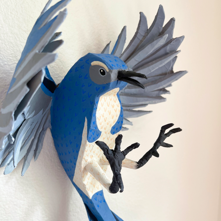Paper Mache Fighting Scrub Jay, Detail